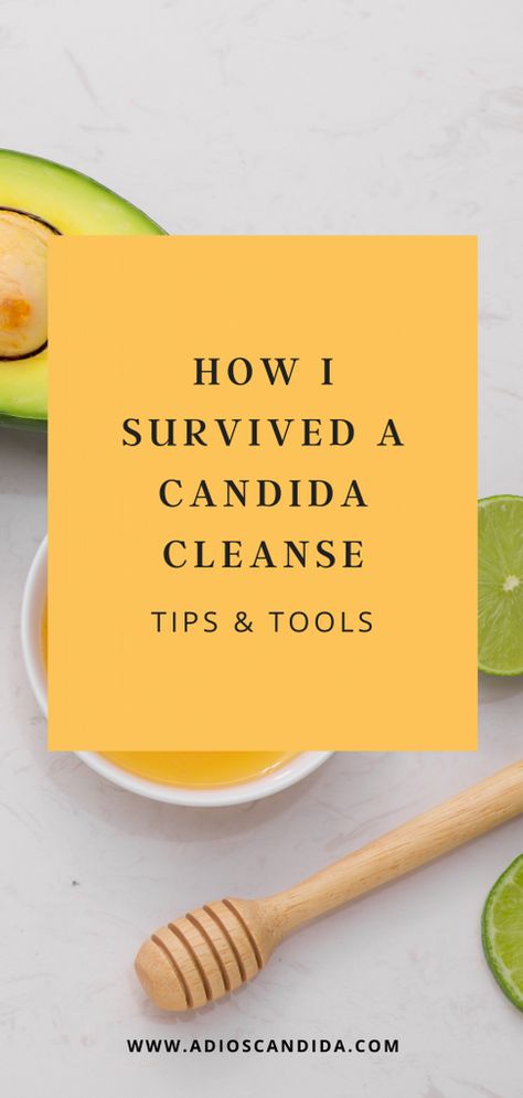 Candida Cleanse Diet, Candida Recipes, Candida Diet Recipes, Candida Cleanse, Body Detox Cleanse, Detox Kur, Full Body Detox, Cleanse Diet, Candida Diet