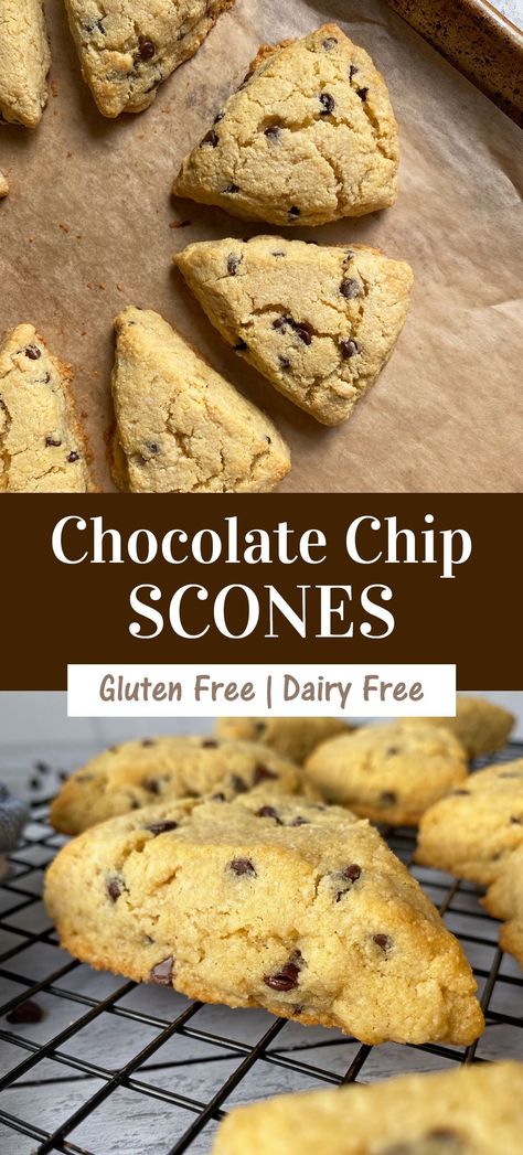 These Paleo Chocolate Chip Scones are tender and moist on the inside with a crispy exterior. They are grain free, gluten free, made without heavy creamy and sweetened with maple syrup - the perfect Paleo scone! Chocolate Chip Scones, Gluten Free Scones, Gluten Free Chocolate Chip, Gluten Free Egg Free, Paleo Chocolate, Gluten Free Sweets, Gluten Free Breakfasts, Foods With Gluten, Gluten Free Chocolate