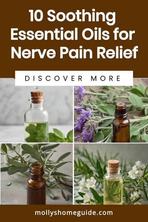 Discover the power of essential oils for nerve pain relief with these effective natural remedies. From soothing sciatic nerve pain to alleviating neuropathy discomfort, explore blends like Helichrysum, Lavender, Peppermint, Eucalyptus, Rosemary, Ginger, Chamomile, Frankincense, and Cypress oils. Create your own pain-relieving essential oil recipes or simply enjoy the benefits of these best essential oils for nerve pain. Herbs To Calm Nerves, Essential Oils For Nerve Damage, Sciatic Nerve Pain Relief Essential Oils, Natural Remedies For Nerve Damage, Nerve Pain Essential Oils, Body Spray Recipe, Sciatic Nerve Relief, Nerve Pain Remedies, Sciatic Nerve Pain Relief