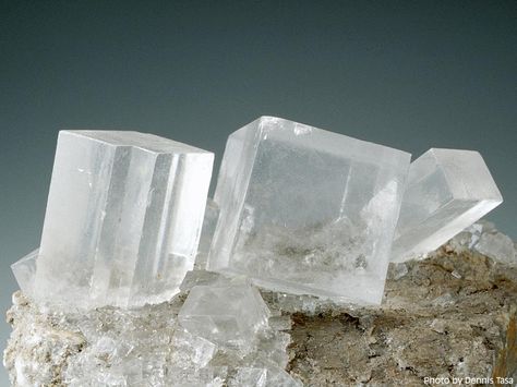 Halite crystals Mineral Identification, Love Crystals, White Crystal, Gem Stones, Raw Stone, Rocks And Minerals, The Question, Geology, What You See