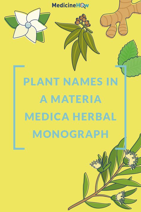 Botanical Names, Herbal Education, Plant Names, Medicinal Tea, Medicine Chest, Family Names, Common Names, Holistic Medicine, Natural Herbs