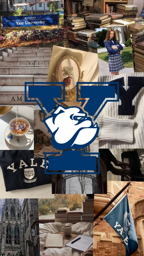 Yale University Aesthetic, Yale Aesthetic, Yale Law, University Inspiration, Harvard Yale, Dream University, University Aesthetic, Yale Law School, College Vision Board