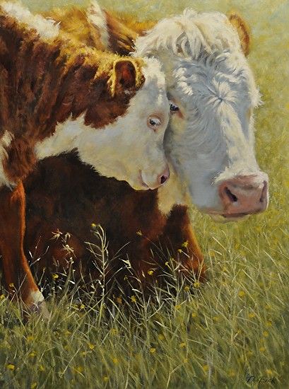 Untitled by Phil Beck, Oil, 40 x 30 Cheyenne Frontier Days, Farm Animal Paintings, Cow Artwork, Cattle Dogs Rule, Hereford Cows, Fluffy Cows, Cow Pictures, Diy Watercolor Painting, Cow Painting