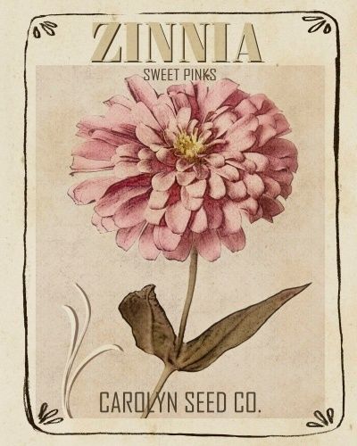 Studio W Vintage Seed Packet, Pink Zinnia, Vintage Seed Packets, Printables Free, Scrapbook Printables, Lithograph Print, Stupell Industries, Seed Packets, Nature Wall