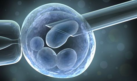 Global Preimplantation Genetics Diagnosis (PGD) Market is estimated to reach $140 Million by 2024; growing at a CAGR of 6.2% from 2016 to 2024. Preimplantation genetics diagnosis (PGD) is a technique used for genetic profiling of embryos before implantation to identify genetic defects in embryos or even of oocytes.  It enables to identify defects in embryos and aids in selecting health embryos that are further used for implanting in the uterus. Artificial Insemination, Cord Blood Banking, Egg Donor, Stem Cell Research, Sperm Donor, Ivf Cycle, Egg Donation, Ivf Center, Fertility Center