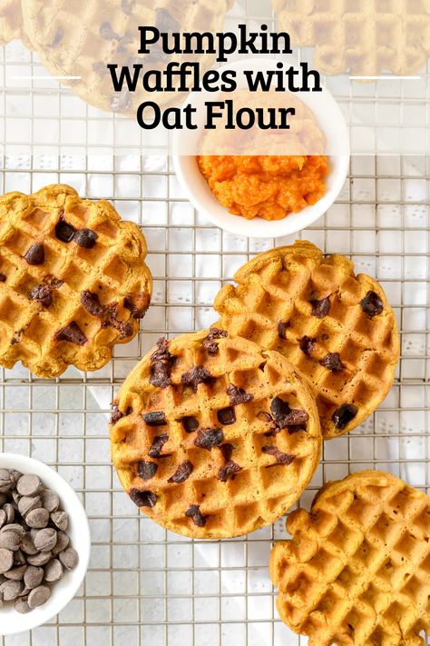 Pumpkin Waffles Easy, Pumpkin Waffle Recipe, Oat Flour Waffles, Pumpkin Waffles Recipe, Waffle Recipe Healthy, Blueberry Oatmeal Bake, Chocolate Chip Waffles, Easy Waffle Recipe, Healthy Waffles