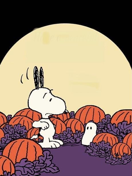 Snoopy Ghost, Peanuts Aesthetic, Snoopy Halloween Wallpaper, Charlie Brown Movie, Nostalgic Halloween, Halloween Snoopy, Peanuts Wallpaper, Charlie Brown Halloween, Fall Drawings