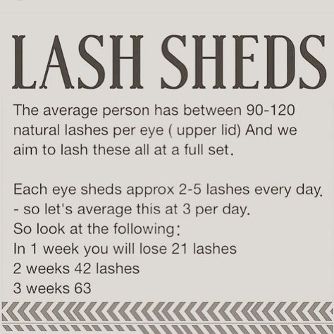 But we never lash baby lashes !   | Lash cycle Lash Cycle, Lash Lounge, Lash Extentions, Eyelash Salon, Lash Quotes, Eyelash Extensions Styles, Lash Salon, Eyelash Extentions, Dry Shampoo Hairstyles