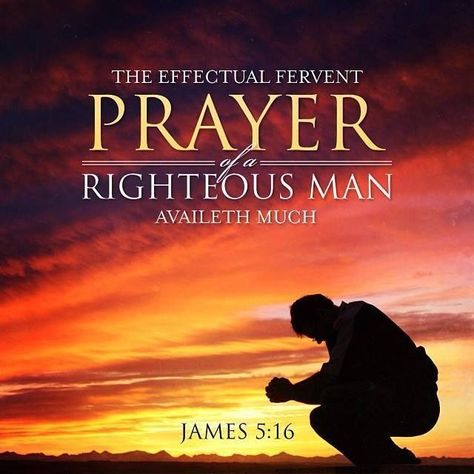 "The effectual fervent prayer of a righteous man availeth much." ~ James 5:16 Prayers Of The Righteous, The Effectual Fervent Prayer, Prayer Partner, Fervent Prayer, Weekday Quotes, Beautiful Scripture, The Prayer, Prayer Scriptures, Bible Truth