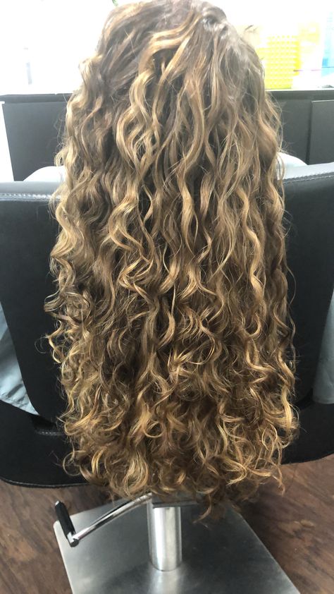 Curl Hair With Highlights, Highlights On Blonde Curly Hair, Highlights For Light Brown Curly Hair, Long Curly Hair With Blonde Highlights, Curly Wavy Highlights, Blonde Hilights Curly Hair, Highlights On Light Brown Curly Hair, Brown Curls With Blonde Highlights, Curly Brown Blonde Hair