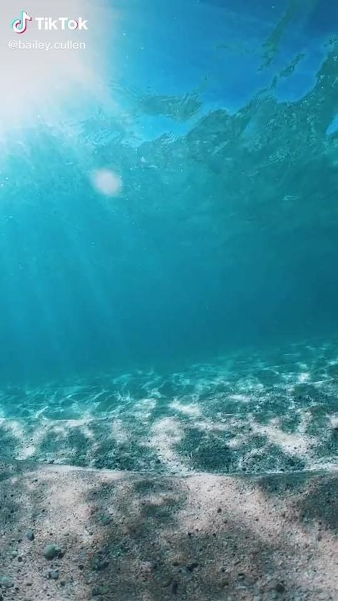 Underwater videoBliss. Underwater Video, Water Aesthetic, Beautiful Ocean Pictures, Ocean Pictures, Underwater Life, Beautiful Images Nature, Beautiful Places Nature, Beautiful Ocean, Beautiful Photos Of Nature