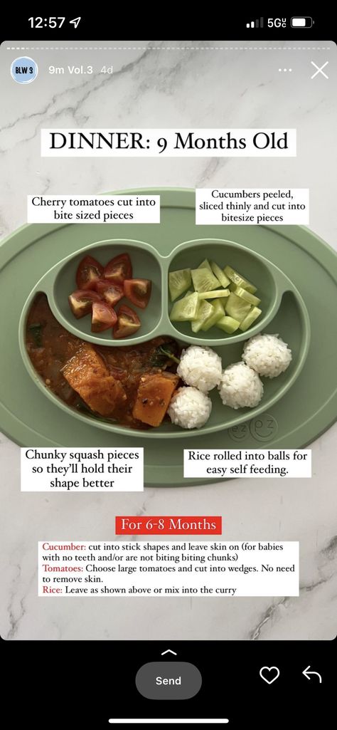 Blw Cucumber, Nine Month Old Food Meal Ideas, 9 Month Old Recipes, Lunch For 9 Month Old Baby, Snacks For 9 Month Old, 9 Month Lunch Ideas, Baby Meal Ideas 10 Months Old, Dinner For 9 Month Old, Lunch For 9 Month Old