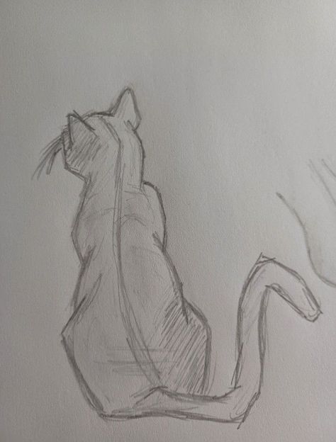 Cat Lying On Back Drawing, Back Of Cat Drawing, Sand Cat Drawing, Drawing Ideas Cat Sketch, Girl Holding Cat Drawing, Cat Looking Up Drawing, Cat Drawing Sitting, Fast Drawing Ideas, Scared Cat Drawing