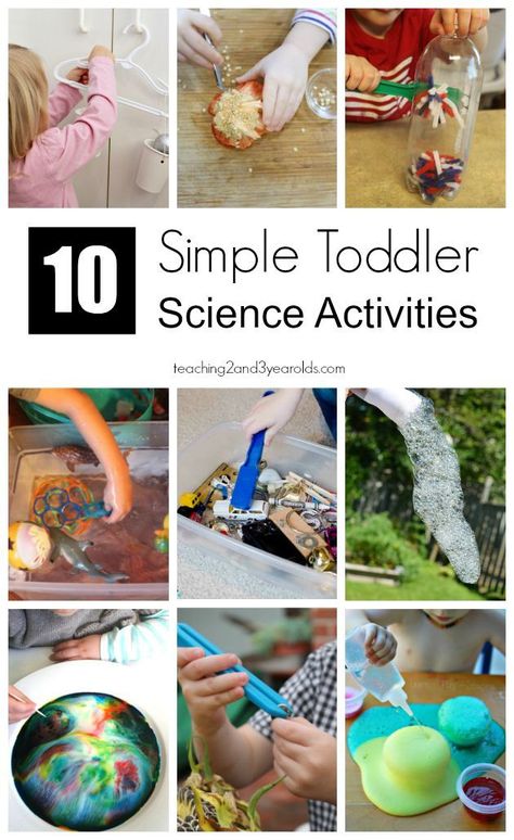 This collection of toddler science activities are perfect for little explorers! Hands-on, fun, and full of learning opportunities! Can be done in the classroom or at home. #toddlers #science #toddleractivities #homeschool #classroom #AGE2 #toddlerlearning Science Eyfs, Toddler Science Activities, Number Games For Toddlers, Daycare Recipes, Toddler Science, Science Activities For Toddlers, Science For Toddlers, Simple Science, Easy Toddler Activities