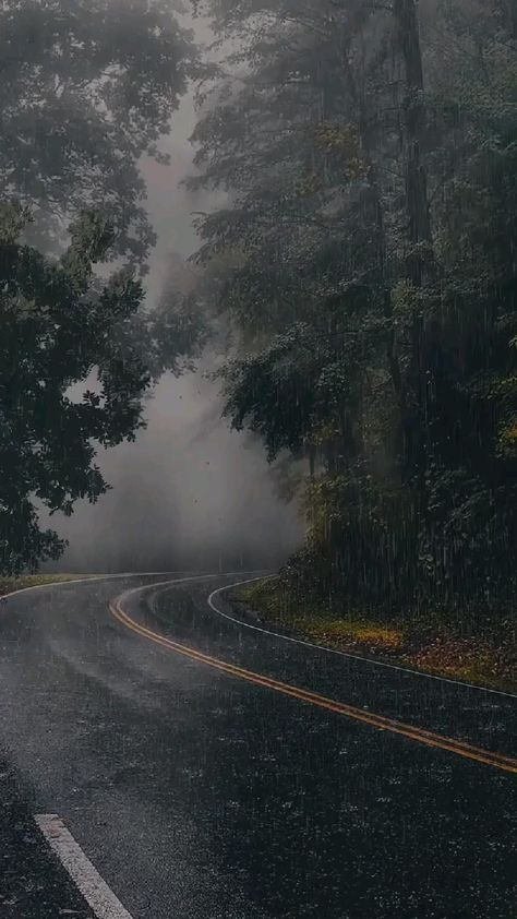 Aesthetic Dark Pictures, Calming Rain, Rain And Thunder, Forest Road, Dark Nature Aesthetic, Misty Forest, Rain Photography, Beautiful Scenery Nature, Nature Aesthetic