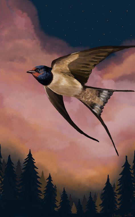 Swallow Bird Wallpaper, Swallow Aesthetic, Swallow Wallpaper, Swallow Painting, Living For Me, Swallow Art, Birds Aesthetic, Heal The Soul, Art Starry Night