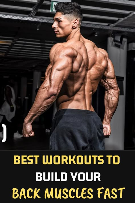 Back Workout Bodybuilding, Gym Back Workout, 남성 근육, Muscle Reference, Muscle Abdominal, Back Workouts, Muscle Building Supplements, Eye Sketch, Fit Models