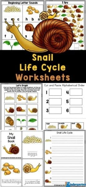 NEW FREEBIE:

Have your kids ever seen snails and wondered about them? Use these Printable Snail Life Cycle Worksheets to learn more about them!

GET THEM HERE >>> Snail Life Cycle, Third Grade Sight Words, Free Educational Apps, Free Worksheets For Kids, Homeschool Freebies, Free Printable Activities, Basic Math Skills, Sequencing Activities, Homeschool Inspiration