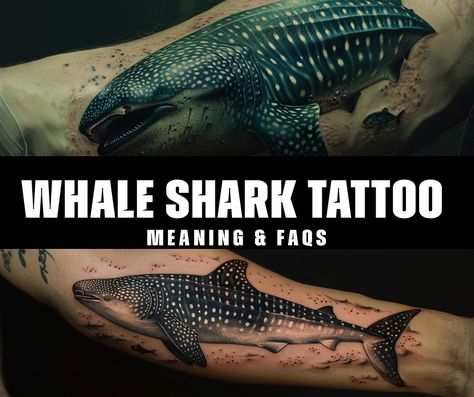 What is the significance of the whale shark tattoo in traditional culture? Whale Shark Tattoo Ribs, Whale Shark Tattoo Meaning, Shark Whale Tattoo, Whale Shark Tattoo Design, Scorpion Neck Tattoo, Shark Meaning, Shark Tattoo Meaning, Whale Shark Tattoo, Ray Tattoo