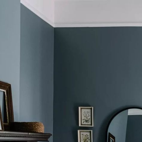 Porter's Paints on Instagram: "'Dark Newport Blue' A chic mid tone cool blue grey. This colour features in our Capsule Collection, available through selected Bunnings and Inspirations stores as well as Porter's Paints showrooms and local stockists. See our website for details; porterspaints.com/find-a-store Image: @seaview_in_the_glebe Photo: @marniehawson Stylist: @bellebrightproject" Porter Paint, Newport Blue, Store Image, Colour Inspiration, Capsule Collection, Colour Schemes, Newport, Color Inspiration, Blue Grey