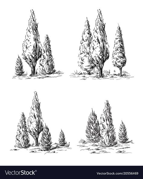 Cypress Drawing, Cypress Tree Drawing, Cypress Tree Tattoo, Ink Exercises, Landscape Outline, Tree Line Drawing, Cyprus Trees, Italian Cypress Trees, Drawn Tree