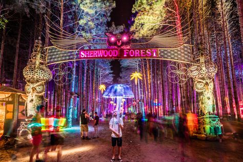 Electric Forrest, Forest Festival, Electric Forest Festival, Trendy Music, Festival Art, Rave Style, Festival Essentials, Electric Forest, Festival Decor