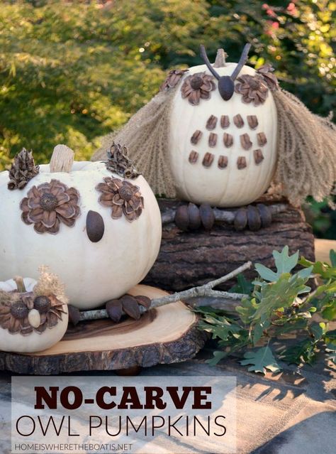 A woman cuts up pine cones—look at her adorable fall pumpkin idea! Pumkin Decoration, Xmas Projects, Owl Pumpkin, No Carve Pumpkin Decorating, Easy Pumpkin Carving, Pumpkin Contest, Pumpkin Topiary, Pumpkin Art, Autumn Crafts