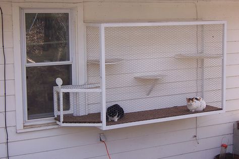 Best Cat Terrace Window Door Kit | Outdoor DIY Cage for Window - Catterrace Cat Tunnel Outdoor Window, Cat Patio Enclosure Window, Cat Door Window Insert, Diy Cat Window Box Ideas, Cat Window Perch Outdoor, Window Catio Ideas For Cats Outdoor, Cat Runs Outdoor, Window Catio Diy, Diy Cat Door In Door