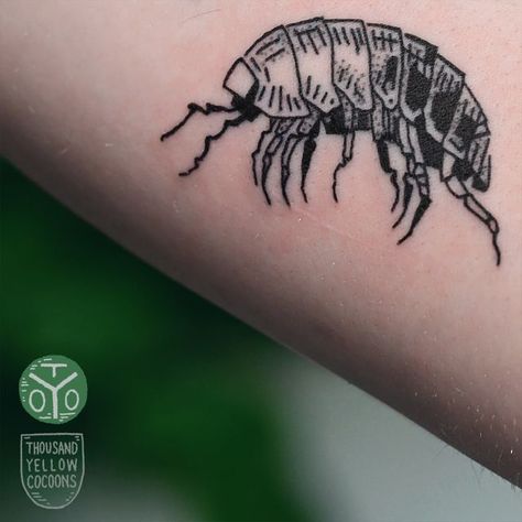 Pillbug Tattoo, Cute Bug Tattoo Ideas, Potato Bug Tattoo, Tattoo Ideas Bugs, Small Insect Tattoo, Isopod Drawing, Bug Tattoo Design Insects, Weevil Tattoo, Small Bug Tattoo