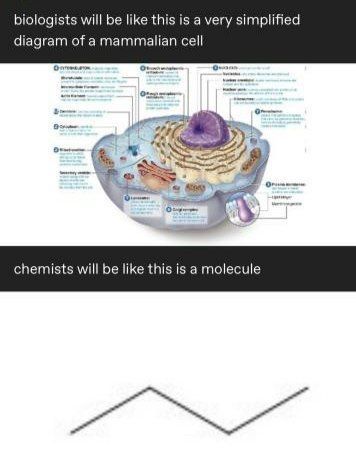 Chemistry Memes, Biology Memes, Bill Nye The Science Guy, Medical Memes, Nerdy Jokes, Nerd Memes, Nerdy Humor, Studying Memes, Nerd Jokes