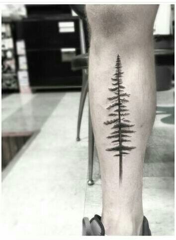 Spruce Tattoo, Minnesota Tattoo, Pine Tattoo, Tree Tattoo Forearm, Tree Tattoo Back, Tree Tattoo Men, Tattoo Son, Family Tree Tattoo, Black Spruce