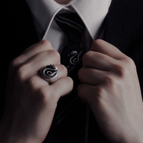 Draco Malfoy Ring, Draco Aesthetic, Aesthetic Slytherin, Houses Aesthetic, We Will Meet Again, Slytherin Gang, Dolores Umbridge, Draco Malfoy Hot, Pansy Parkinson