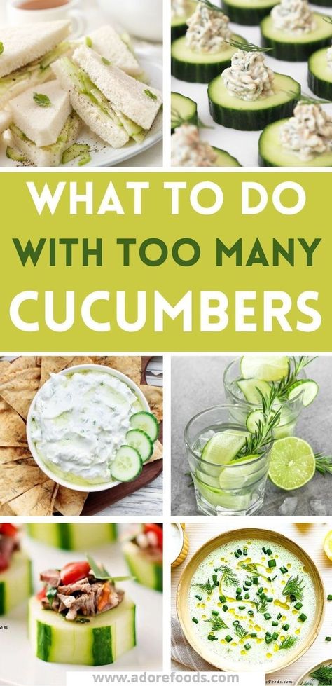 Looking for easy cucumber recipes? We've rounded up our favorite cucumber healthy snacks, cucumber appetizers, cucumber salads and cucumber sandwiches. Cucumber are so versatile and great for meal planning for the hot summer months. Healthy Snacks Cucumber, Healthy Cucumber Recipes, Cucumber Mojito Recipe, Cucumber Recipes Easy, Cucumber Dishes, Appetizers Cucumber, Cucumber Recipes Healthy, Cucumber Sandwiches Recipes, Cooked Cucumber