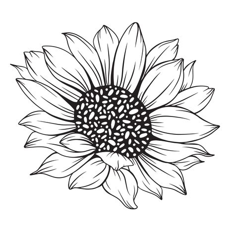 Sunflower Outline Drawing Simple, Line Drawing Sunflower, Sunflower Line Drawing, Line Art Sunflower, Sunflower Line Art, Sunflower Outline, Line Drawing Floral, Floral Line Drawing, Sunflower Template