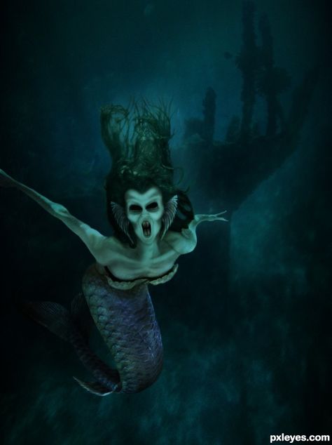 Evil Siren, Scary Mermaid, Scary Ocean, Evil Mermaids, Dark Mermaid, Horror Vintage, Mermaid Wallpapers, Mermaid Halloween, Unicorns And Mermaids