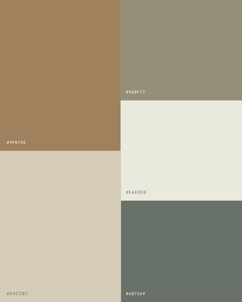 Aesop Color Palette, Khaki Color Palette, Flip Ideas, Concert Poster Design, Pantone Palette, Contemporary Color Palette, Hex Color Palette, Color Board, Green Palette