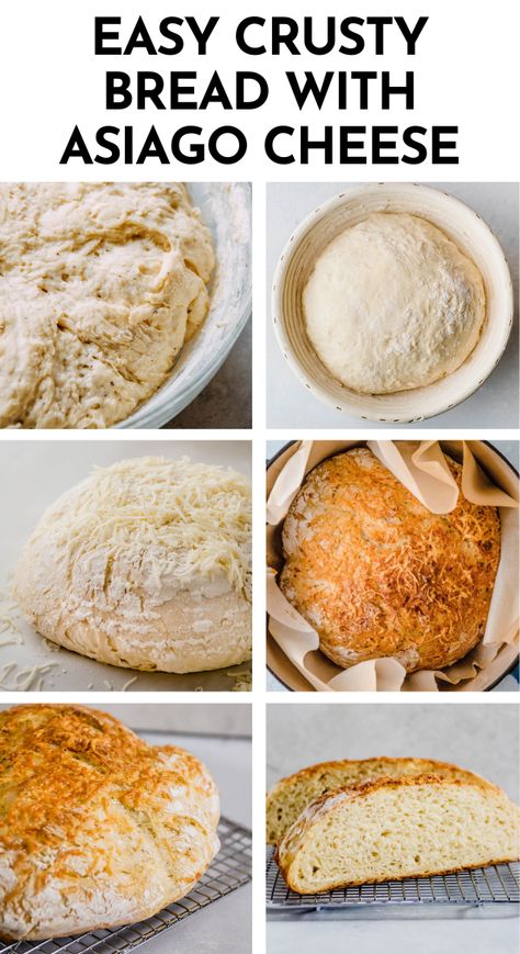 Asiago Bread Recipe, Asiago Cheese Bread, Asiago Bread, Foccacia Bread, Artisan Bread Recipes, Knead Bread, Asiago Cheese, Bread Loaf, Sourdough Bread Recipe