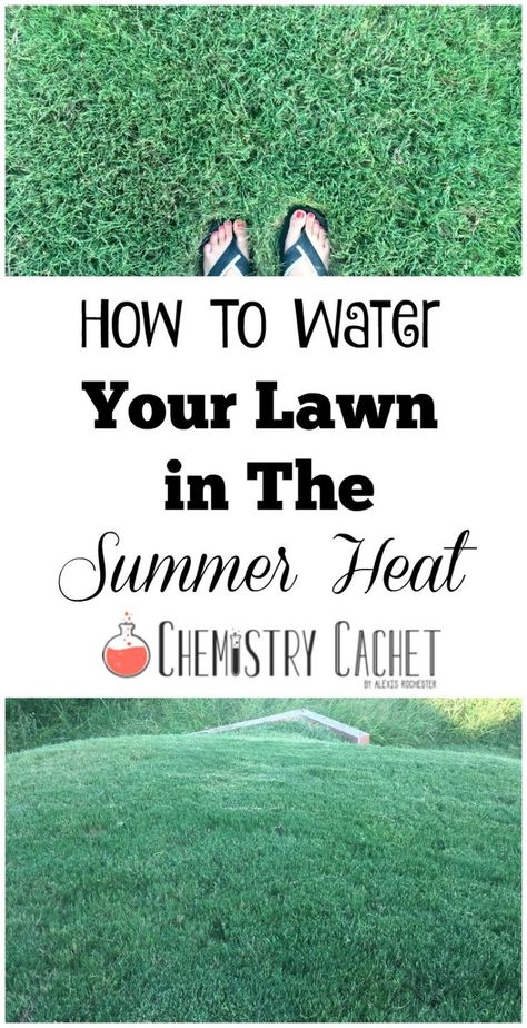 How To Water Your Lawn in The Summer Heat by Chemistry Cachet Easy lawn care to keep grass healthy all summer Summer Lawn Care, Watering Lawn, Oven Outdoor, Landscaping Equipment, Pergola Pictures, Lawn Care Business, Aerate Lawn, Diy Lawn, Gardening Inspiration