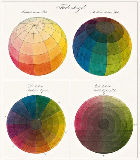 A color chart featuring four color wheels Zorn Palette, Joseph Albers, Visible Light Spectrum, Colour Psychology, Light Spectrum, Pretty Logo, Presents Ideas, Properties Of Matter, Japan History