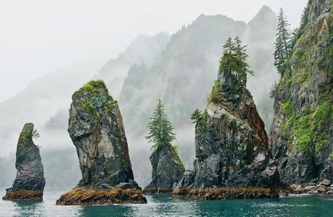 Alaska National Parks, Alaska Glaciers, Kenai Fjords National Park, Kenai Fjords, Wilderness Lodge, Bay Photo, Breathtaking Places, Remote Island, Alaska Travel