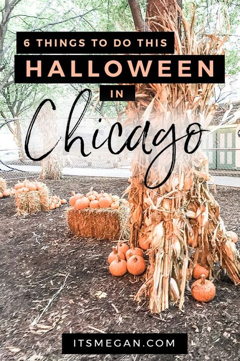 Chicago In October, Move To Usa, Chicago Halloween, Fall In Chicago, Things To Do In Illinois, Chicago Ideas, Diy Crafts Halloween, Classics To Read, Halloween Destinations