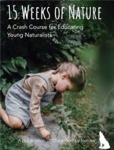 Outside Activities For Kids, Fun Lesson Plans, Nature Based Learning, Garden Shoot, Forest School Activities, The King And I, Garden Aesthetics, Nature Education, Wellness Food