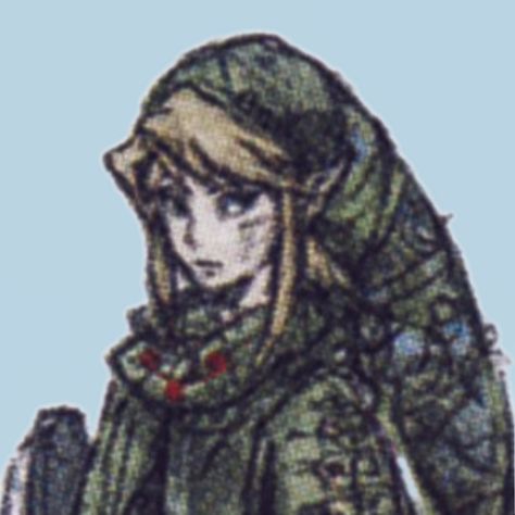 Twilight Princess Concept Art, Princess Concept Art, Link Icon, Hyrule Warriors, Twilight Princess, Concept Art, Art