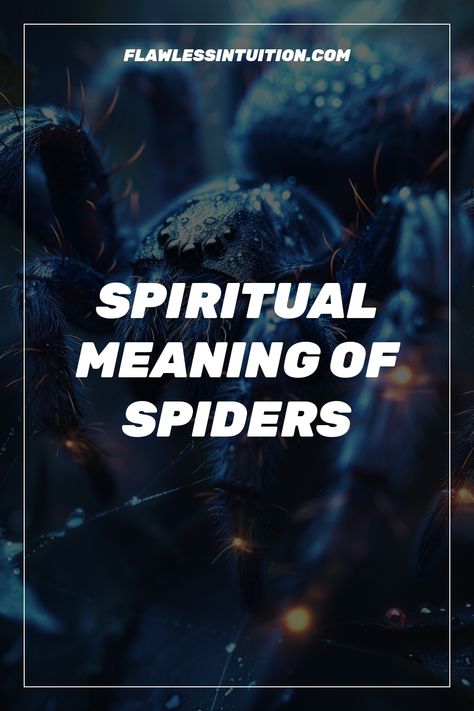 Spider with spiritual symbols. Spider Spiritual Meaning, Hobo Spider, Interesting Creatures, Ancient Myths, Cycle Of Life, Spiritual Meaning, Energy Work, Spiritual Awareness, Stay Inspired