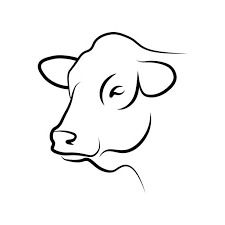 5,100+ Steer Head Drawings Stock Illustrations, Royalty-Free Vector  Graphics & Clip Art - iStock How To Draw A Cow Head, Cow Head Drawing, Cow Line Drawing, Cow Outline, Head Drawings, Cow Icon, Steer Head, Cow Drawing, Outline Images