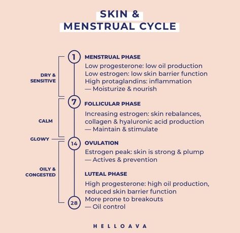 Skin Facts, Womb Healing, Healthy Hormones, Feminine Health, Menstrual Health, Happy Hormones, Hormone Health, Face Skin Care, Skin Tips