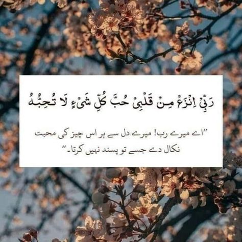 Morning Islamic Quotes, Quotes In Arabic, Old Love Quotes, Islamic Lines, Quran Ayat, Short Islamic Quotes, Best Quran Quotes, Good Morning Image Quotes, Best Islamic Quotes