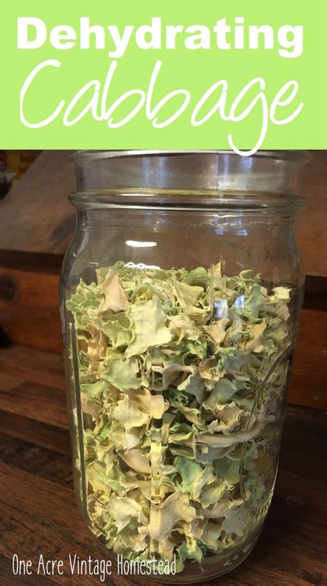 Dehydrator Dinner Recipes, Dehydrate Cabbage, Dehydrated Meat, Canning Storage, Dehydrating Recipes, Vintage Homestead, Dehydrating Food Storage, Food Dehydration, Dehydrating Food