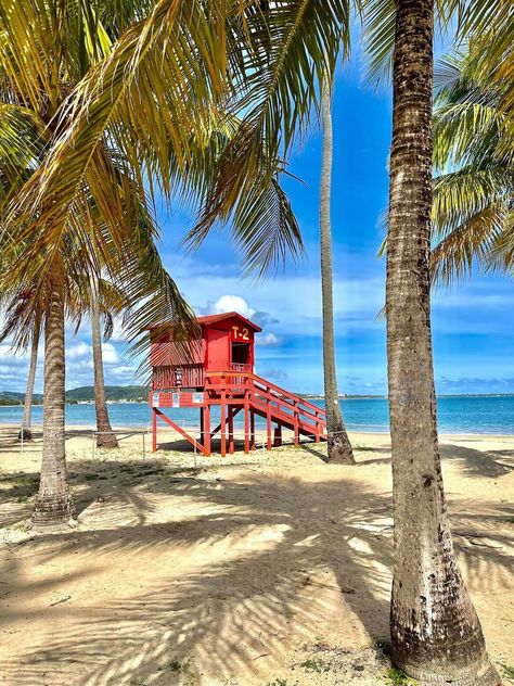 Entire rental unit in Luquillo, Puerto Rico. Relax in this beachfront condo with amazing ocean & beach views located directly on Playa Costa Azul in Luquillo. Modern, spacious, clean & safe.... Luquillo Puerto Rico, Puerto Rico Trip, Beach Views, Beachfront Condo, Beach View, Beach Fun, Ocean Beach, Apartments For Rent, Puerto Rico