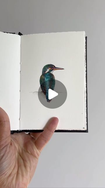 Dina Brodsky on Instagram: "Little book of birds, day 2…  I’ve wanted to do this for so long and finally had a chance to begin! If anyone is interested in beginning your own sketchbook, I have free resources in my profile (there’s my personal sketchbook video library through the years, a series of artist talks and a free guide to beginning your own sketchbook)  #birdbybird" Dina Brodsky, Video Library, Painting And Drawing, Free Guide, Free Resources, My Profile, Painting & Drawing, A Series, Sketch Book